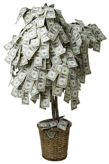 денежное дерево, толстянка, талисманы фен-шуй, фен-шуй денег